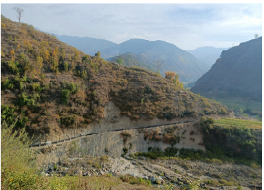 Project gallery image